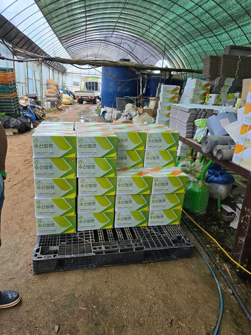 홍성규 님의 장터 판매 상품 [수신멜론 홈런왕 4키로.6.8키로] 첨부 사진