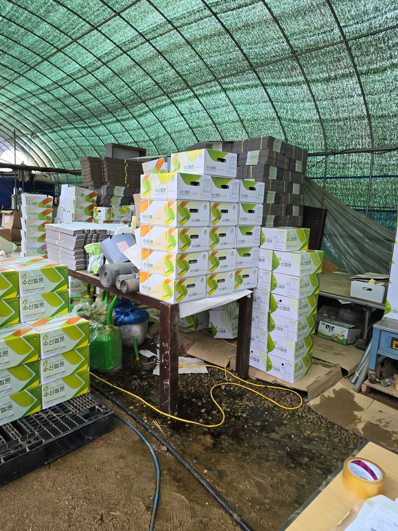 홍성규 님의 장터 판매 상품 [수신멜론 홈런왕 4키로.6.8키로] 첨부 사진