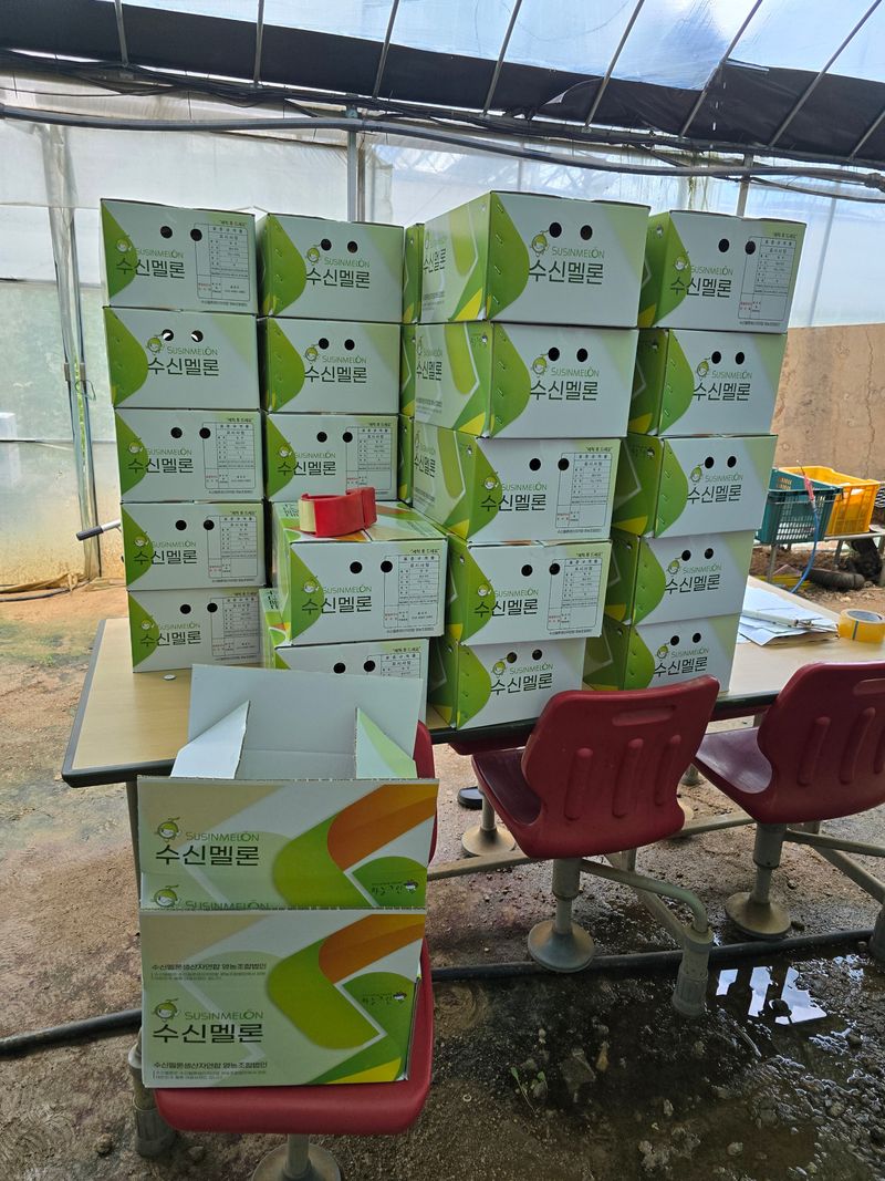 홍성규 님의 장터 판매 상품 [수신멜론 홈런왕 4키로.6.8키로] 첨부 사진