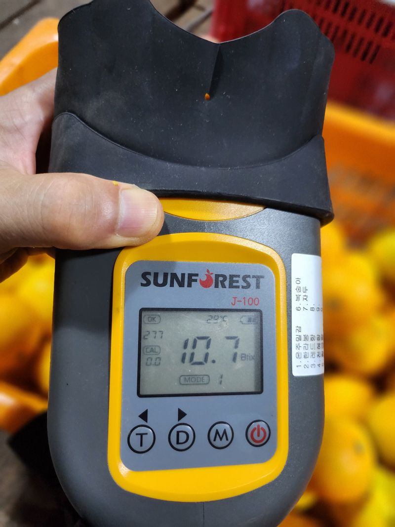 서귀포(남원/한남)님의 장터 판매 상품 [서귀포 하우스감귤 가정용] 첨부 사진