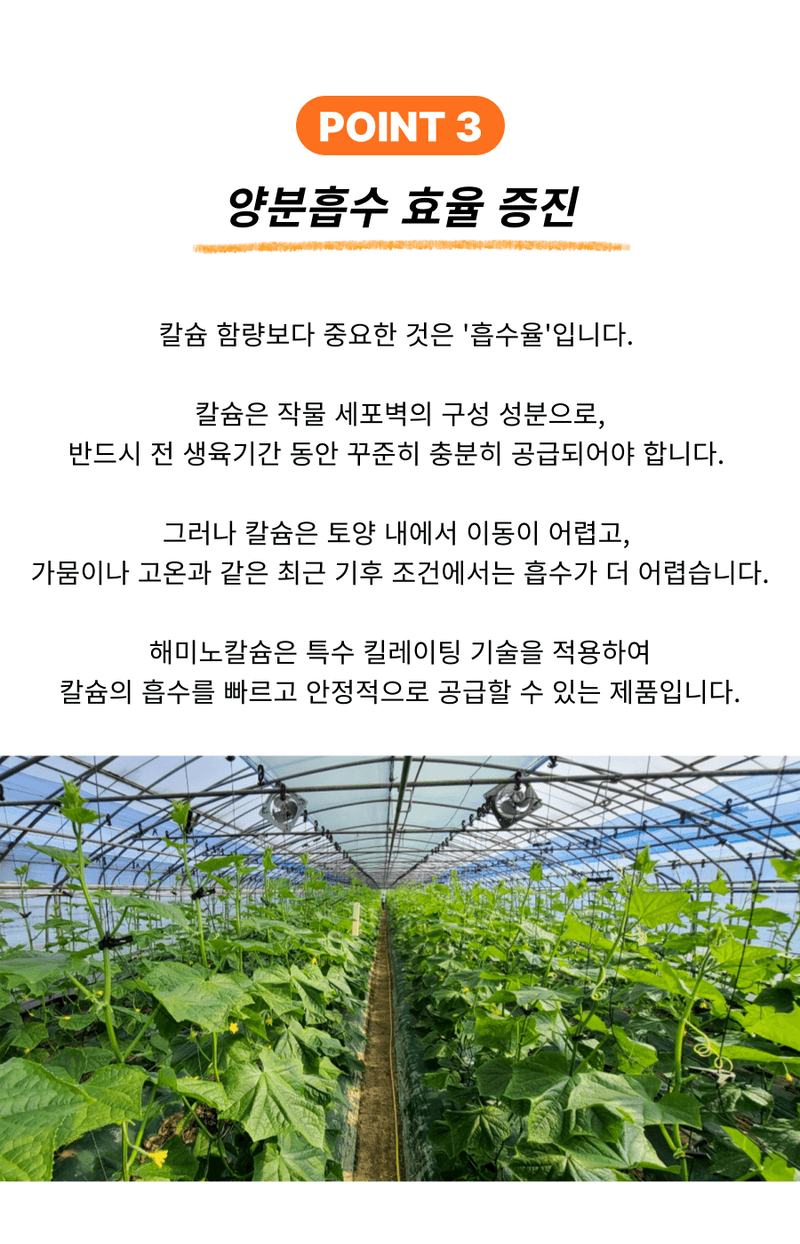 병천아그로주식회사님의 장터 판매 상품 [해미노칼슘 500ml] 첨부 사진