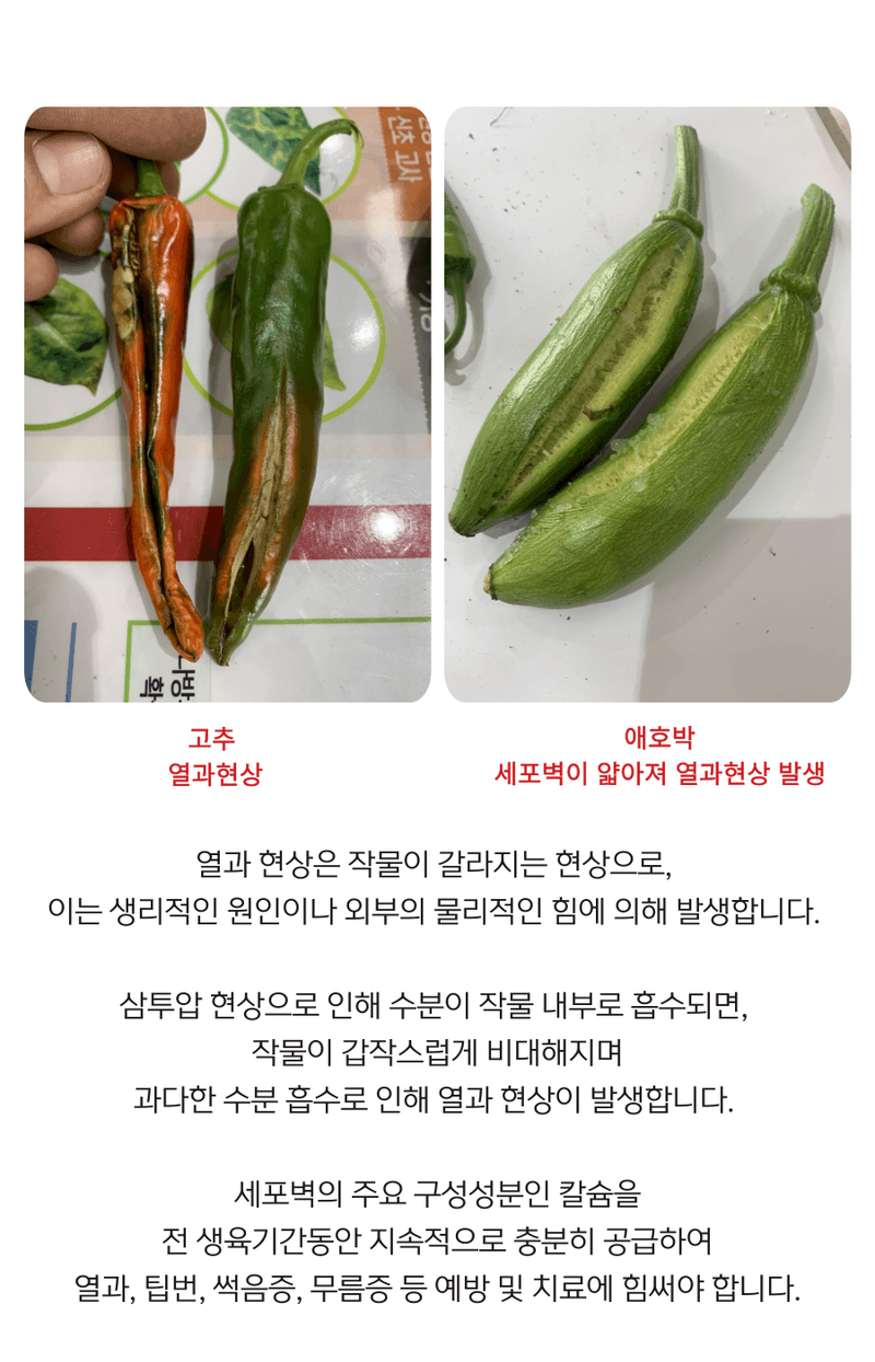 병천아그로주식회사님의 장터 판매 상품 [해미노칼슘 500ml] 첨부 사진