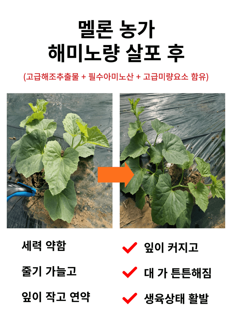 병천아그로주식회사님의 장터 판매 상품 [해미노량 500ml] 첨부 사진