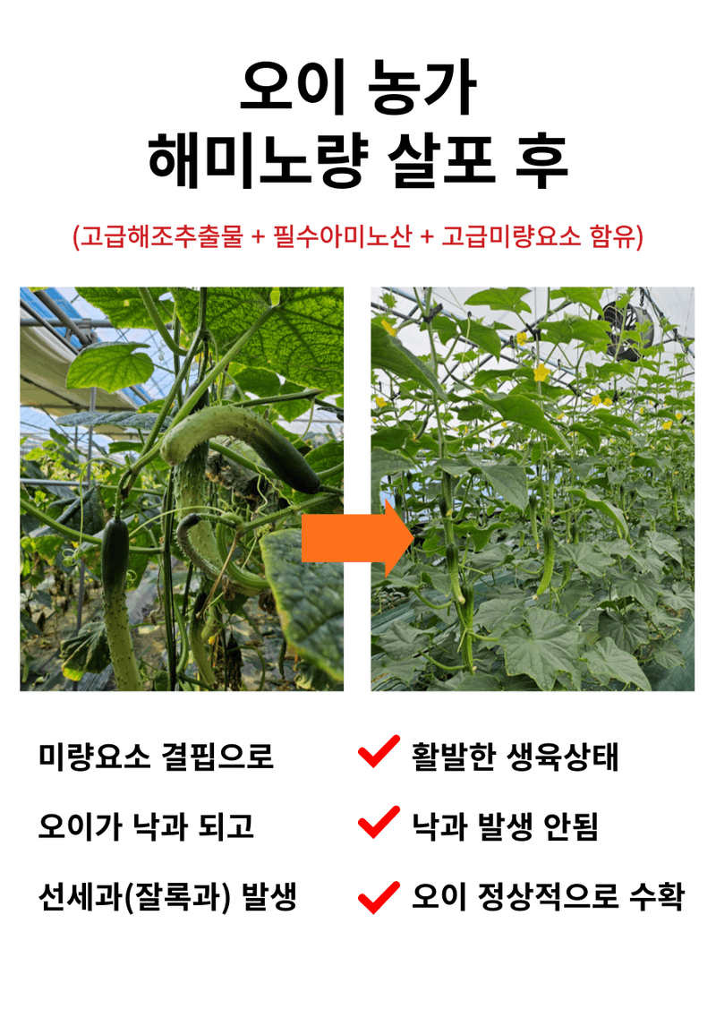 병천아그로주식회사님의 장터 판매 상품 [해미노량 500ml] 첨부 사진