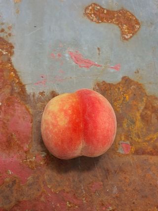 콩7431(팔공산)님의 복숭아 · 영농일지 작성글 사진