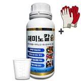 팜모닝 · 게시글 이미지