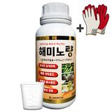 팜모닝 · 게시글 이미지