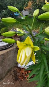 팜모닝 자유주제·칭찬해요 게시글 이미지