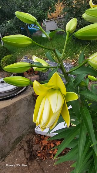 홍성부님의 자유주제 · 칭찬해요 작성글 사진