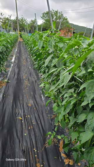 홍성부님의 자유주제 · 칭찬해요 작성글 사진