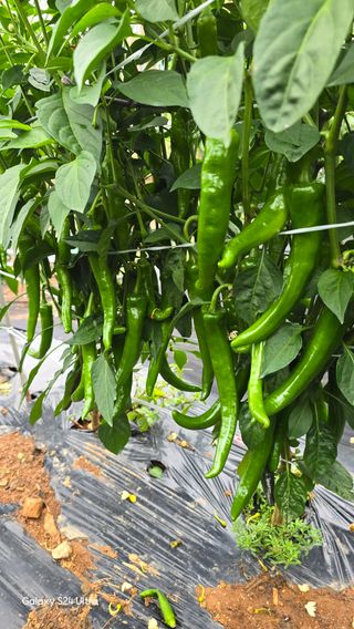 홍성부님의 자유주제 · 칭찬해요 작성글 사진