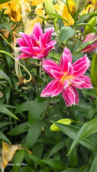 홍성부님의 자유주제 · 칭찬해요 작성글 사진