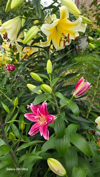 홍성부님의 자유주제 · 칭찬해요 작성글 사진