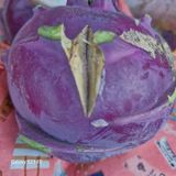 팜모닝 농사, 무엇이든 물어보세요!·참여글 게시글 이미지