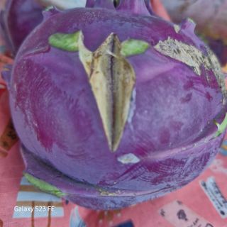 텃밭농부상철이님의 농사, 무엇이든 물어보세요! · 참여글 작성글 사진