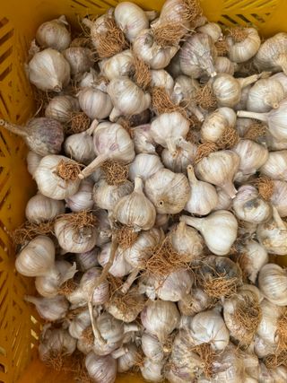 중근님님의 작성글 사진