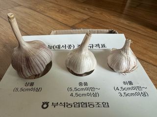 중근님님의 작성글 사진