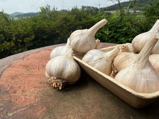 중근님님의 작성글 사진