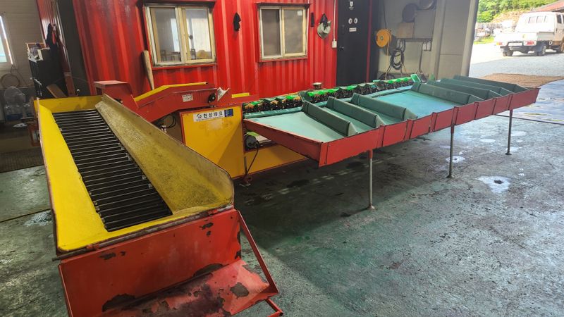 김동현님의 장터 판매 상품 [과일선별기 (판매완료)] 첨부 사진