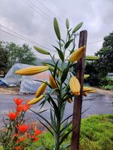 팜모닝 자유주제·사진전 게시글 이미지