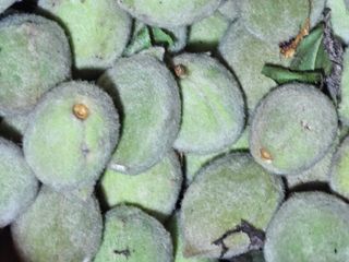 배추5999님의 작성글 사진