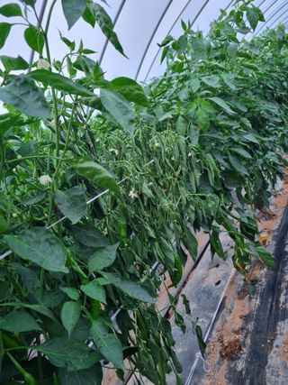 장례지도사1급님의 자유주제 · 자유게시판 작성글 사진