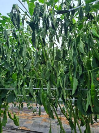 장례지도사1급님의 자유주제 · 자유게시판 작성글 사진