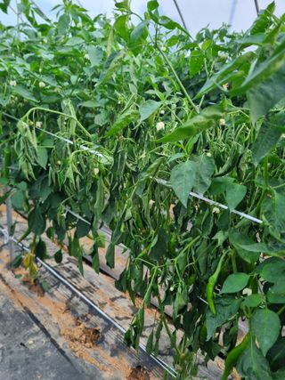 장례지도사1급님의 자유주제 · 자유게시판 작성글 사진