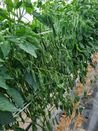 장례지도사1급님의 자유주제 · 자유게시판 작성글 사진