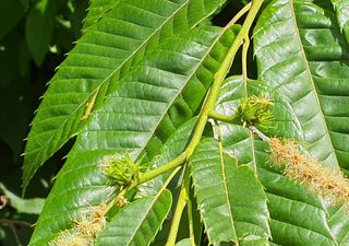 안씨농원님의 자유주제 · 자유게시판 작성글 사진