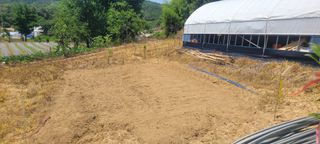 해균님의 자유주제 · 자유게시판 작성글 사진