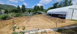 해균님의 자유주제 · 자유게시판 작성글 사진