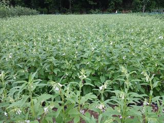 전국하님의 자유주제 · 자유게시판 작성글 사진