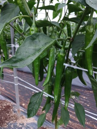 전국하님의 자유주제 · 자유게시판 작성글 사진