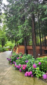 팜모닝 자유주제·자유게시판 게시글 이미지