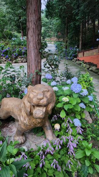 치유숲모이라양재순님의 자유주제 · 자유게시판 작성글 사진