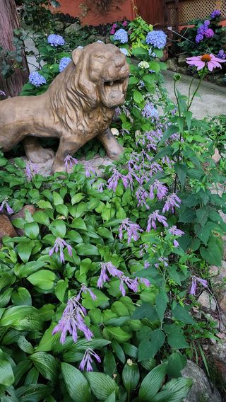 치유숲모이라양재순님의 자유주제 · 자유게시판 작성글 사진