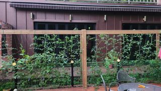 치유숲모이라양재순님의 자유주제 · 자유게시판 작성글 사진