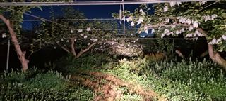 조 영근님의 자유주제 · 자유게시판 작성글 사진