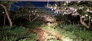 조 영근님의 자유주제 · 자유게시판 작성글 사진