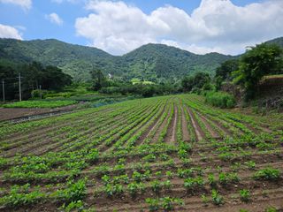 김형선님의 콩 · 영농일지 작성글 사진