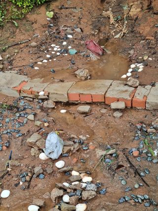 석실리 님의 포도 · 자유게시판 작성글 사진