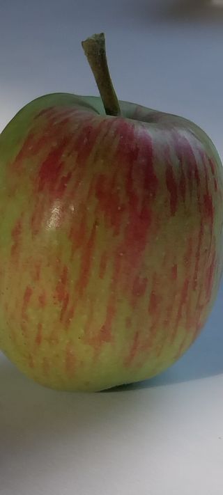 문장식님의 사과 · 영농일지 작성글 사진