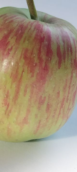 문장식님의 사과 · 영농일지 작성글 사진