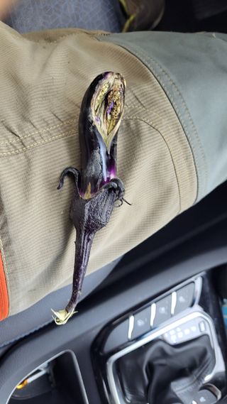 감자20235님의 농사, 무엇이든 물어보세요! · 참여글 작성글 사진