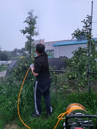 노후를풍요롭게님의 고추 · 영농일지 작성글 사진