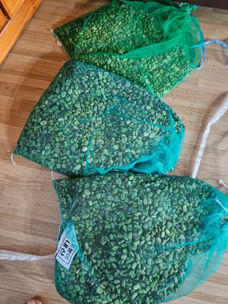 양태문님의 콩 · 영농일지 작성글 사진