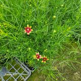 팜모닝 자유주제·자유게시판 게시글 이미지