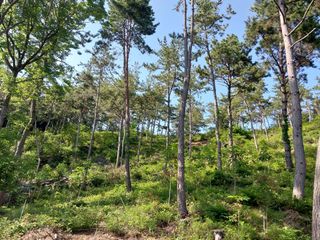 채용묵님의 기타작물 · 영농일지 작성글 사진