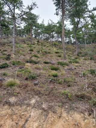 채용묵님의 기타작물 · 영농일지 작성글 사진